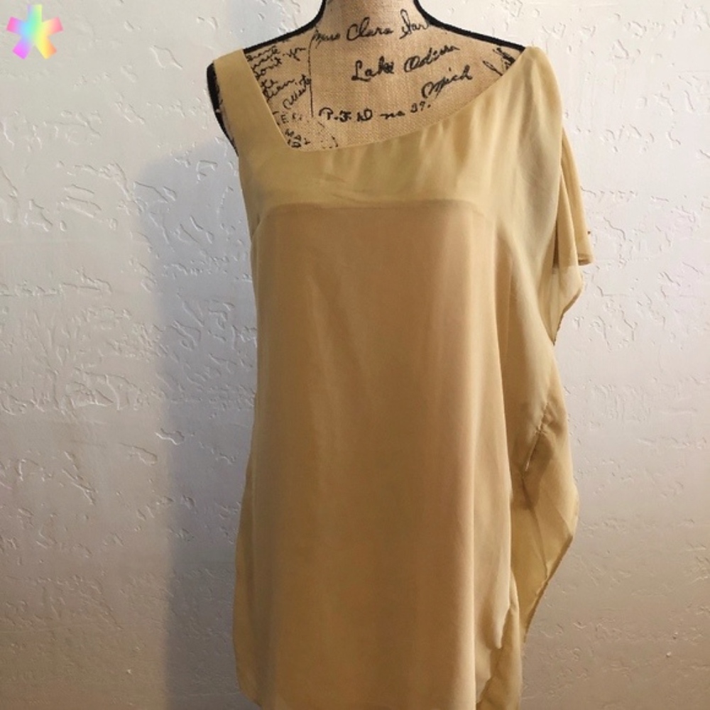 TAE brown, sheer blouse, size large
